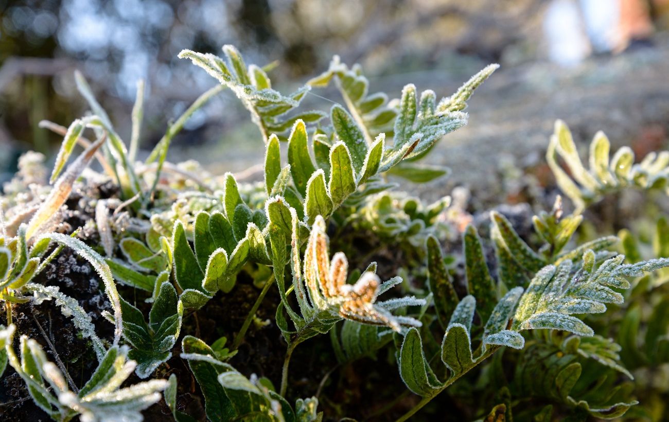 Фото новини