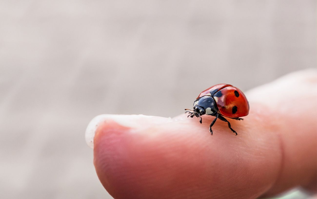 Фото новини