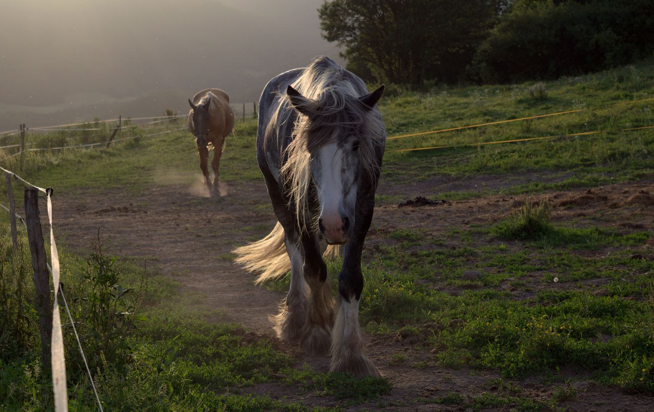 Фото новини