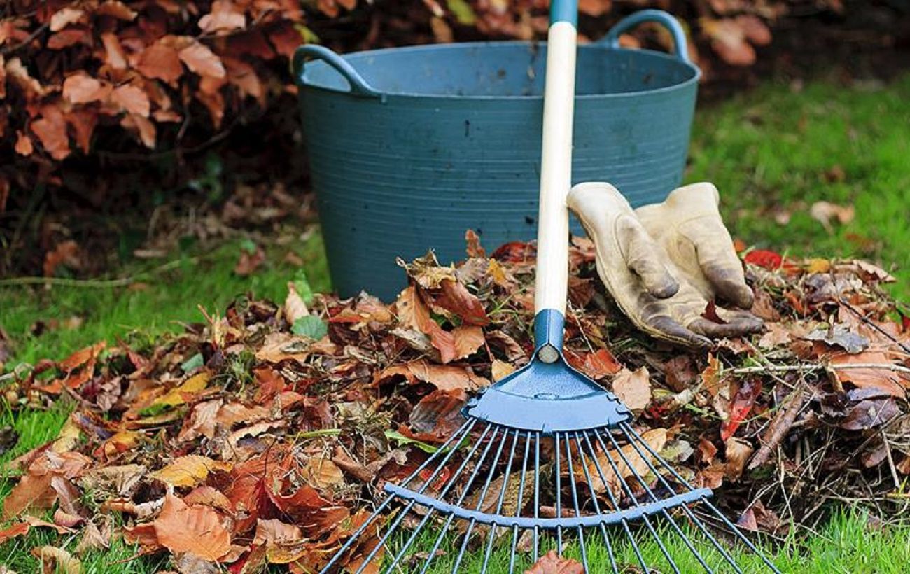 Фото новини