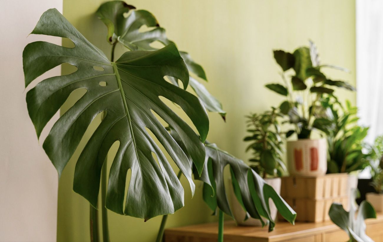 Фото новини