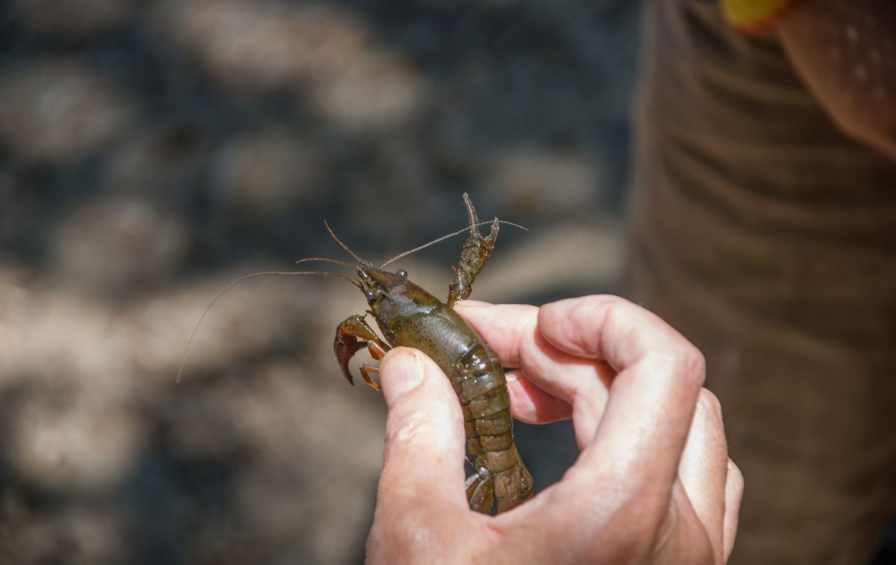 Фото новини