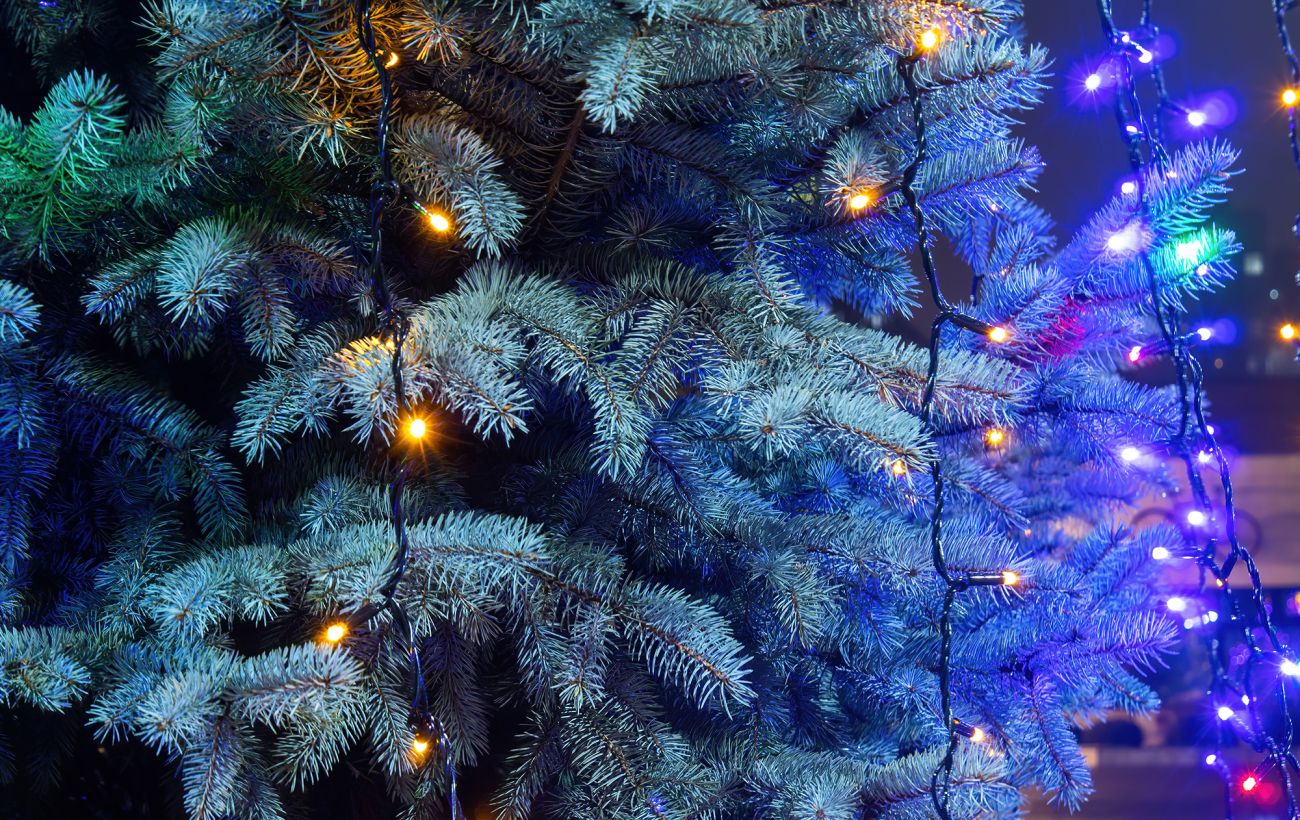 Фото новини