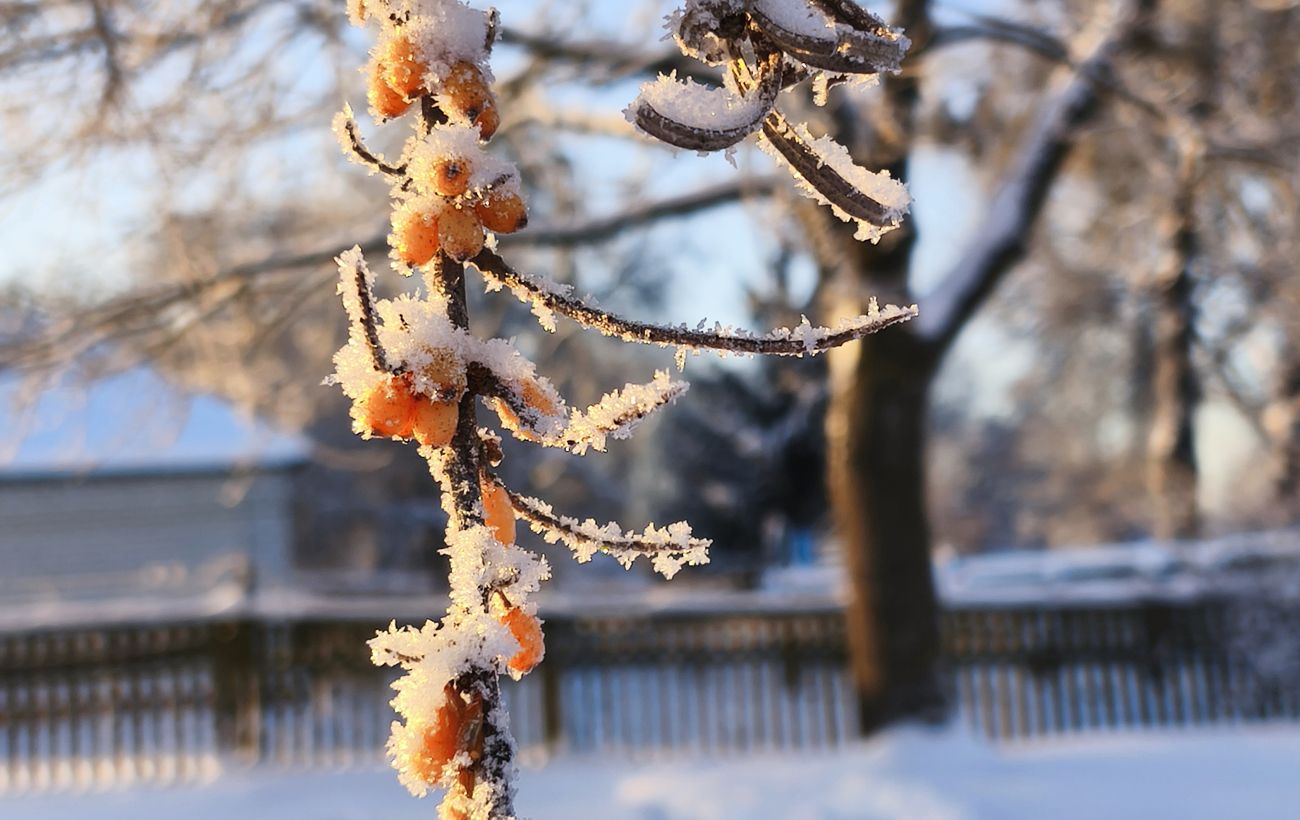 Фото новини