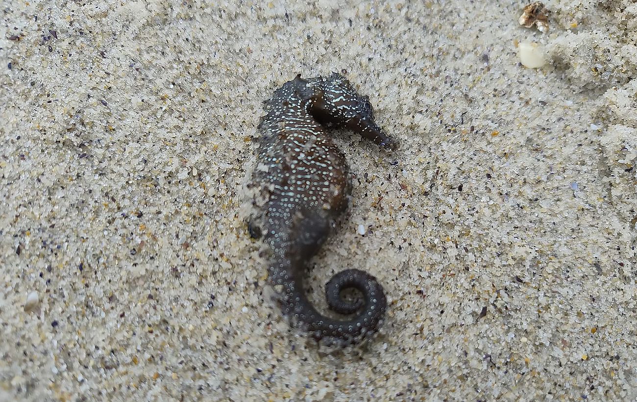 Фото новини