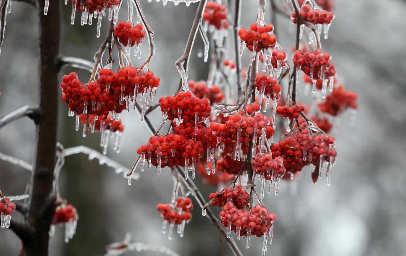 Фото новини