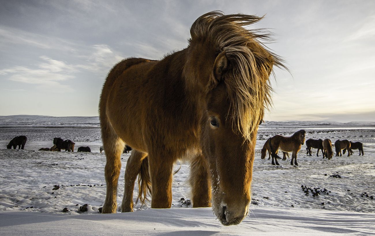 Фото новини