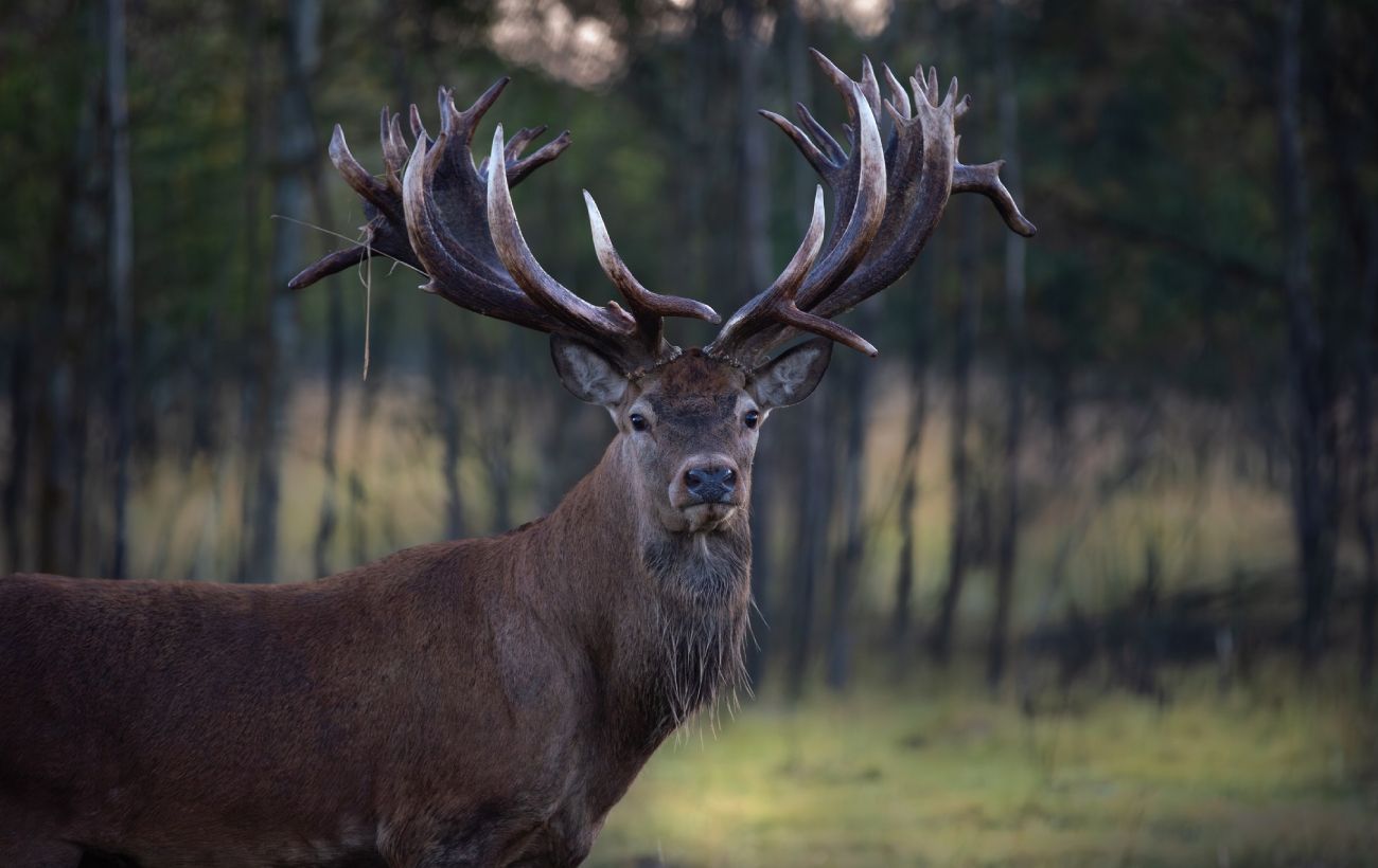 Фото новини