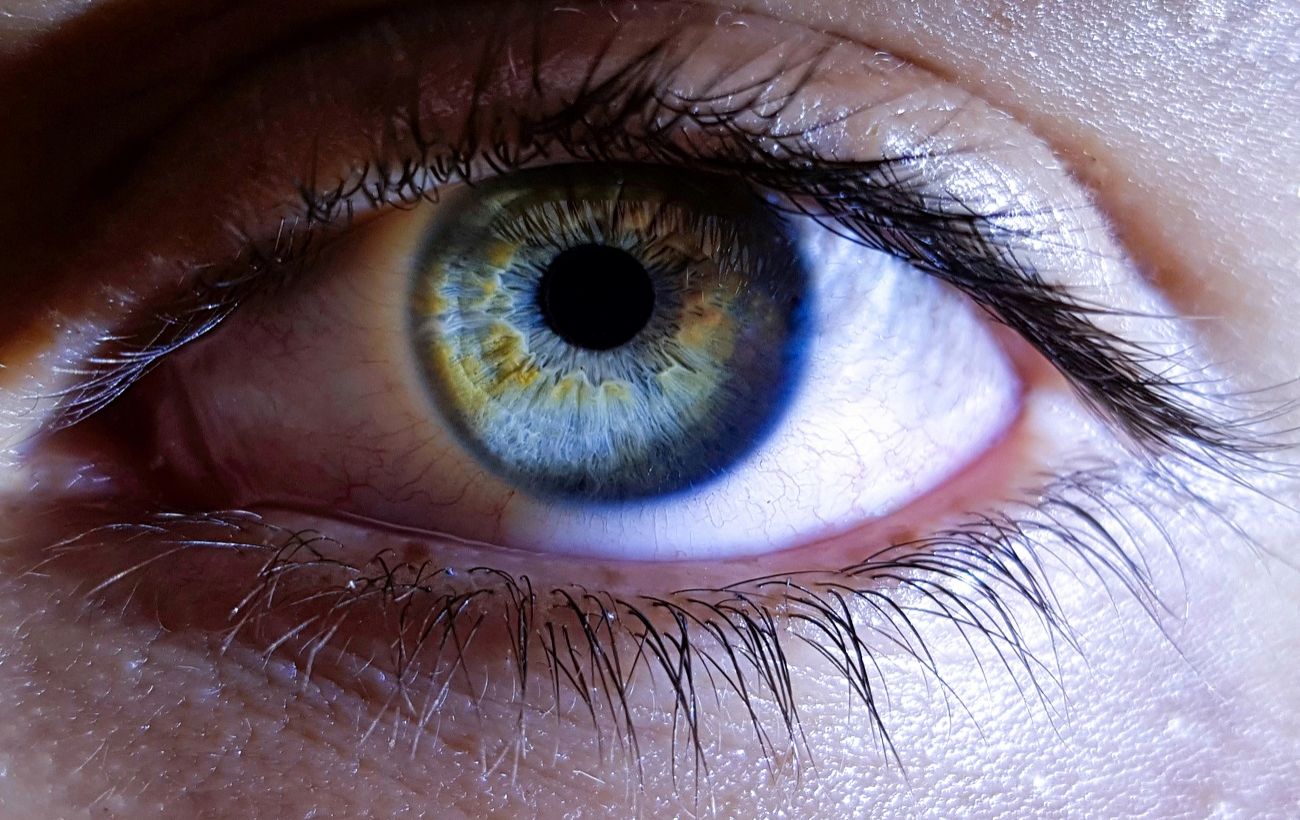 Фото новини