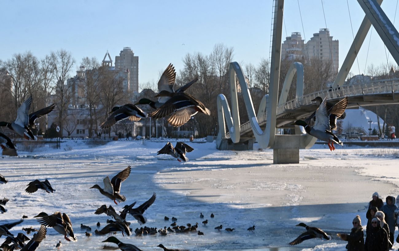 Фото новини