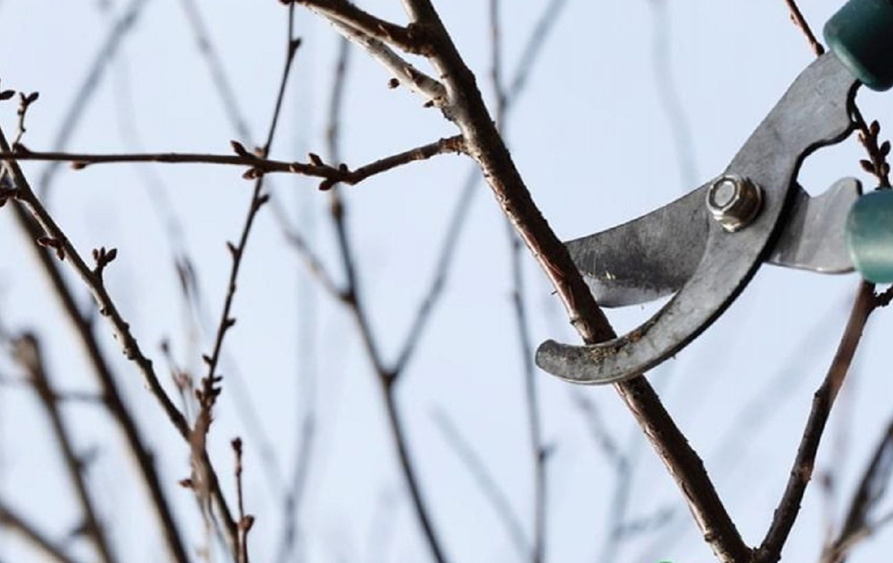 Фото новини