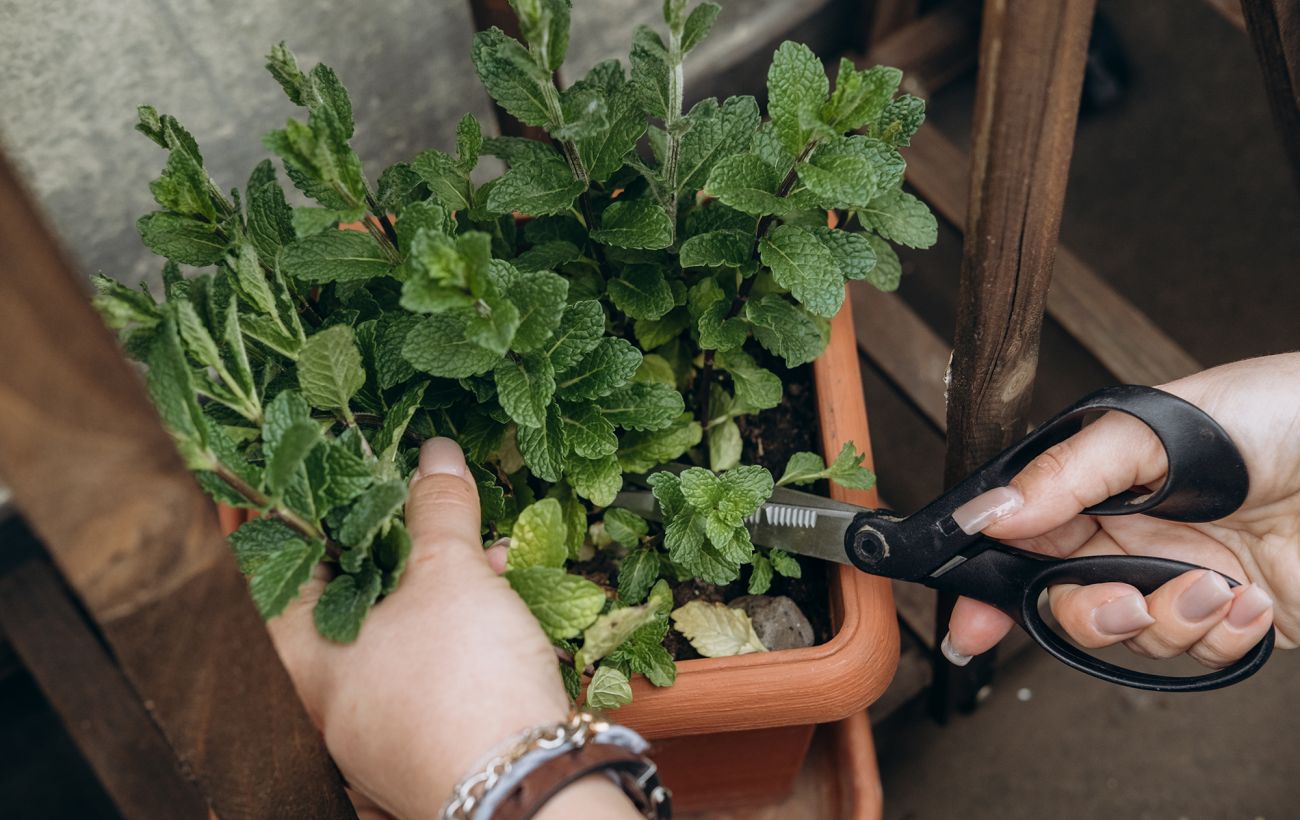 Фото новини