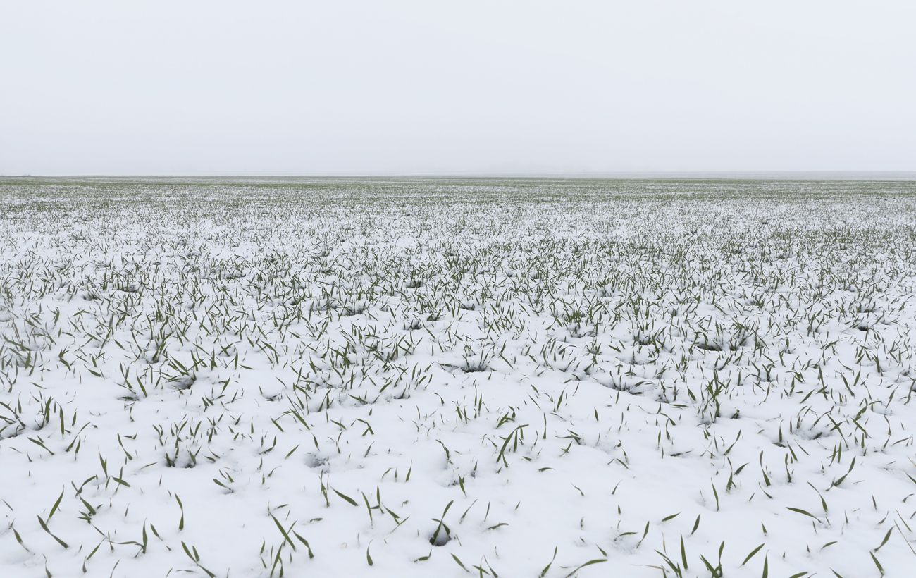 Фото новини