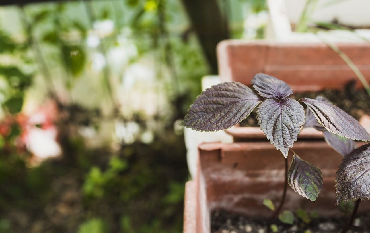 Фото новини