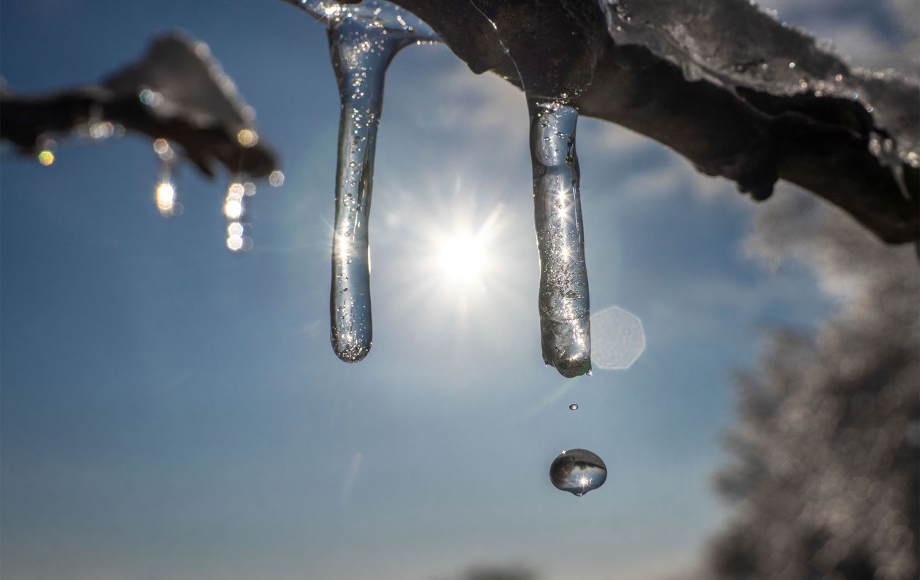 Фото новини