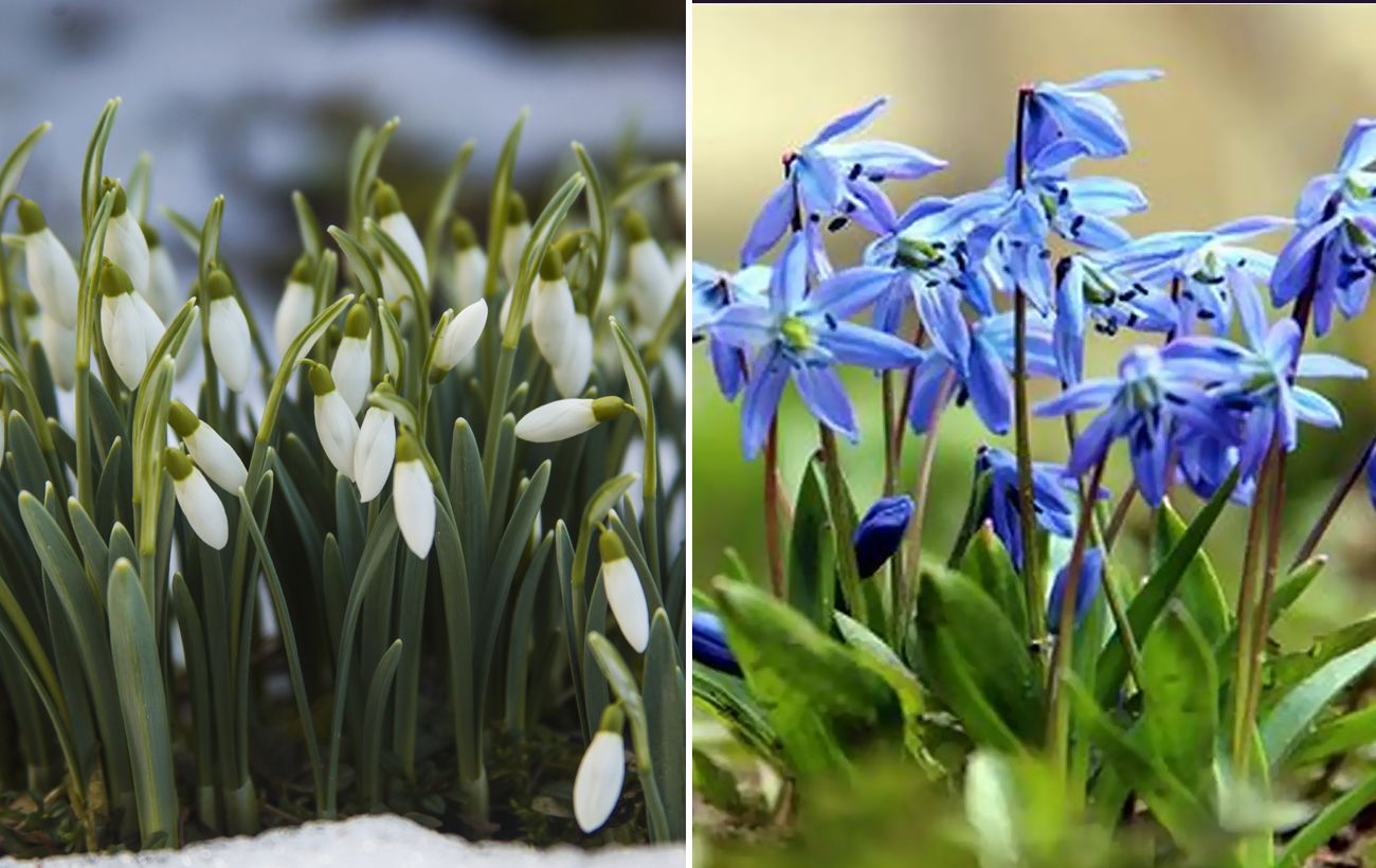 Фото новини