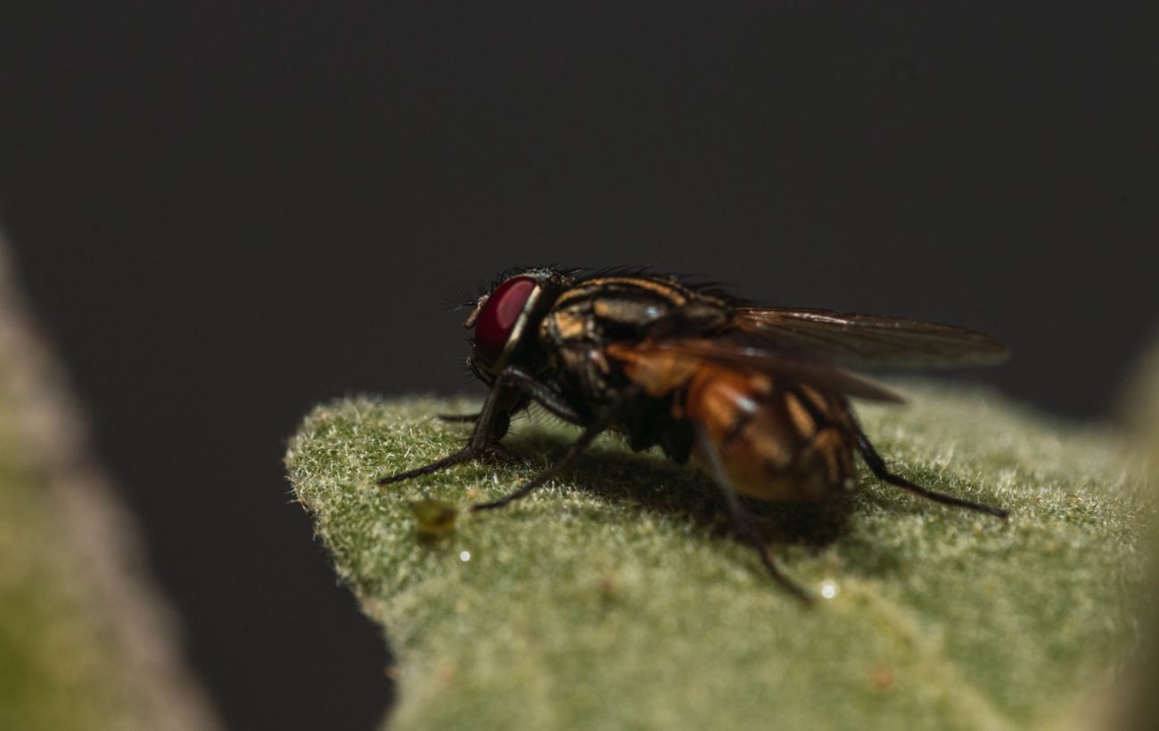 Фото новини