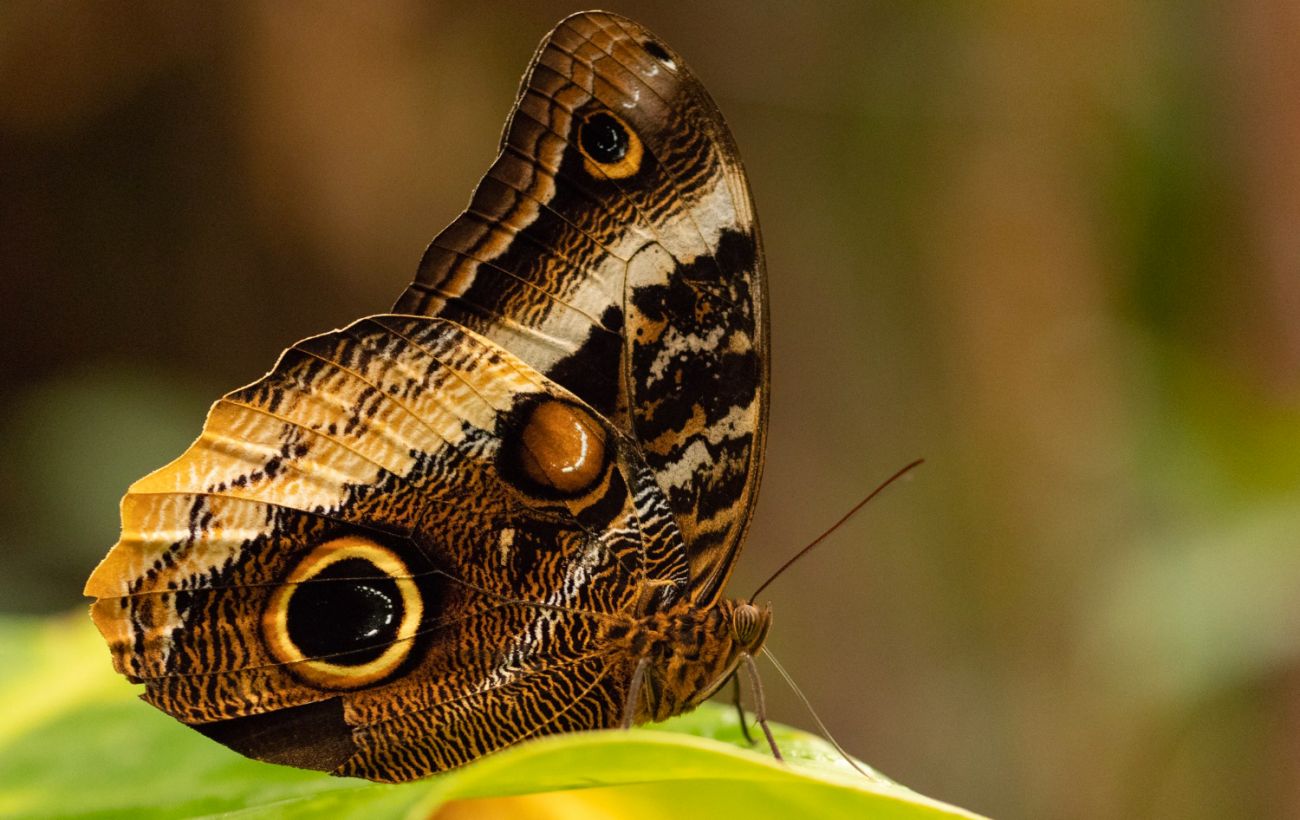 Фото новини