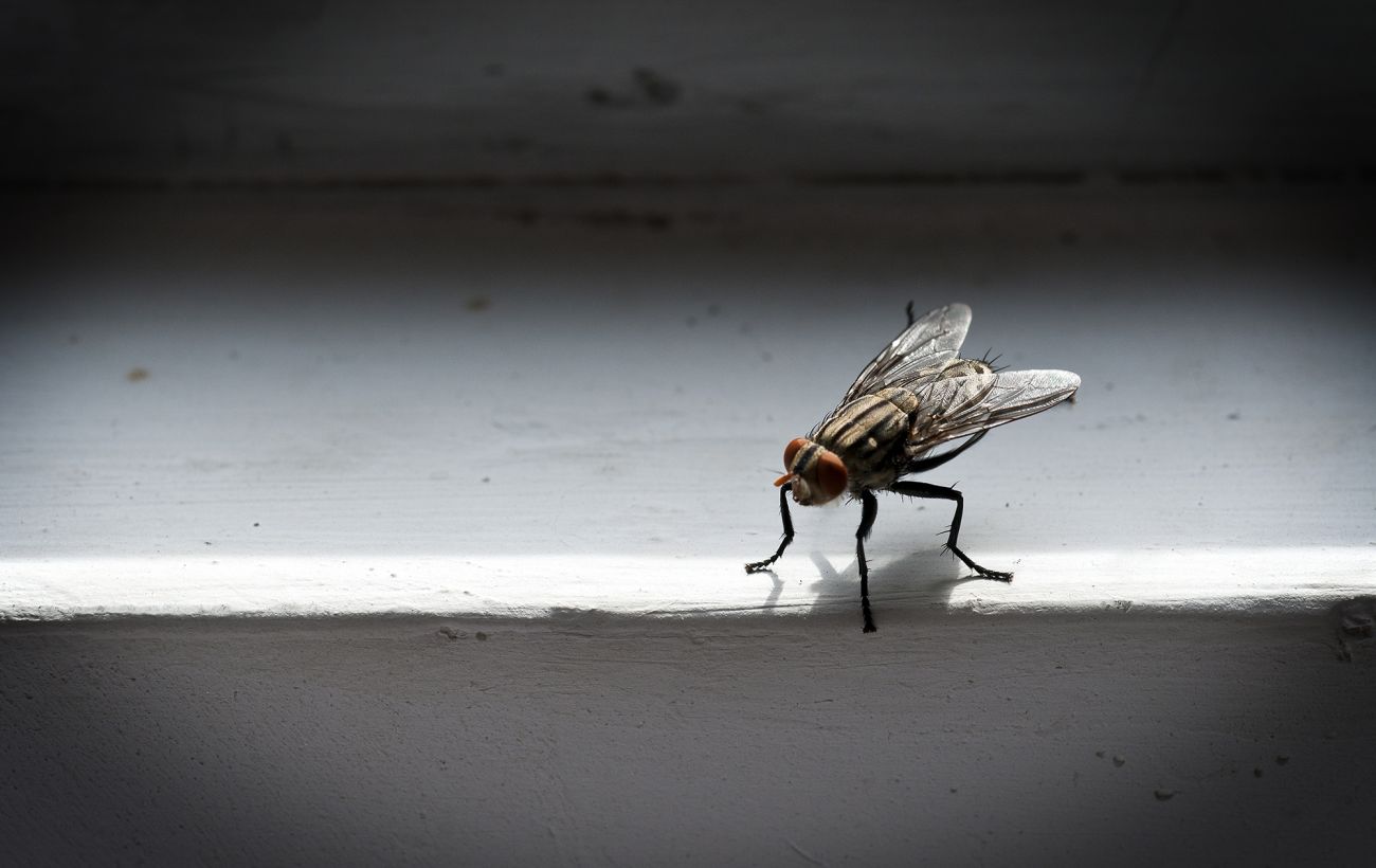 Фото новини