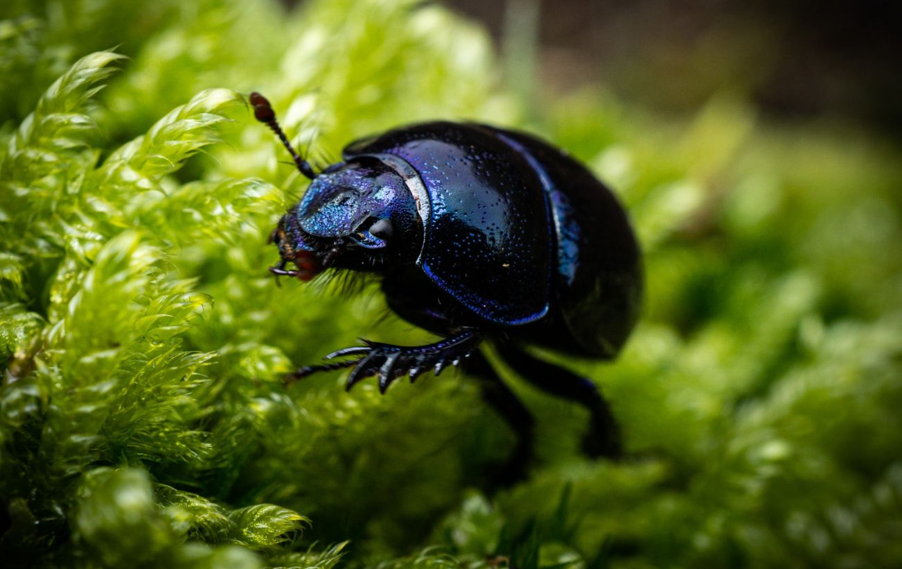 Фото новини