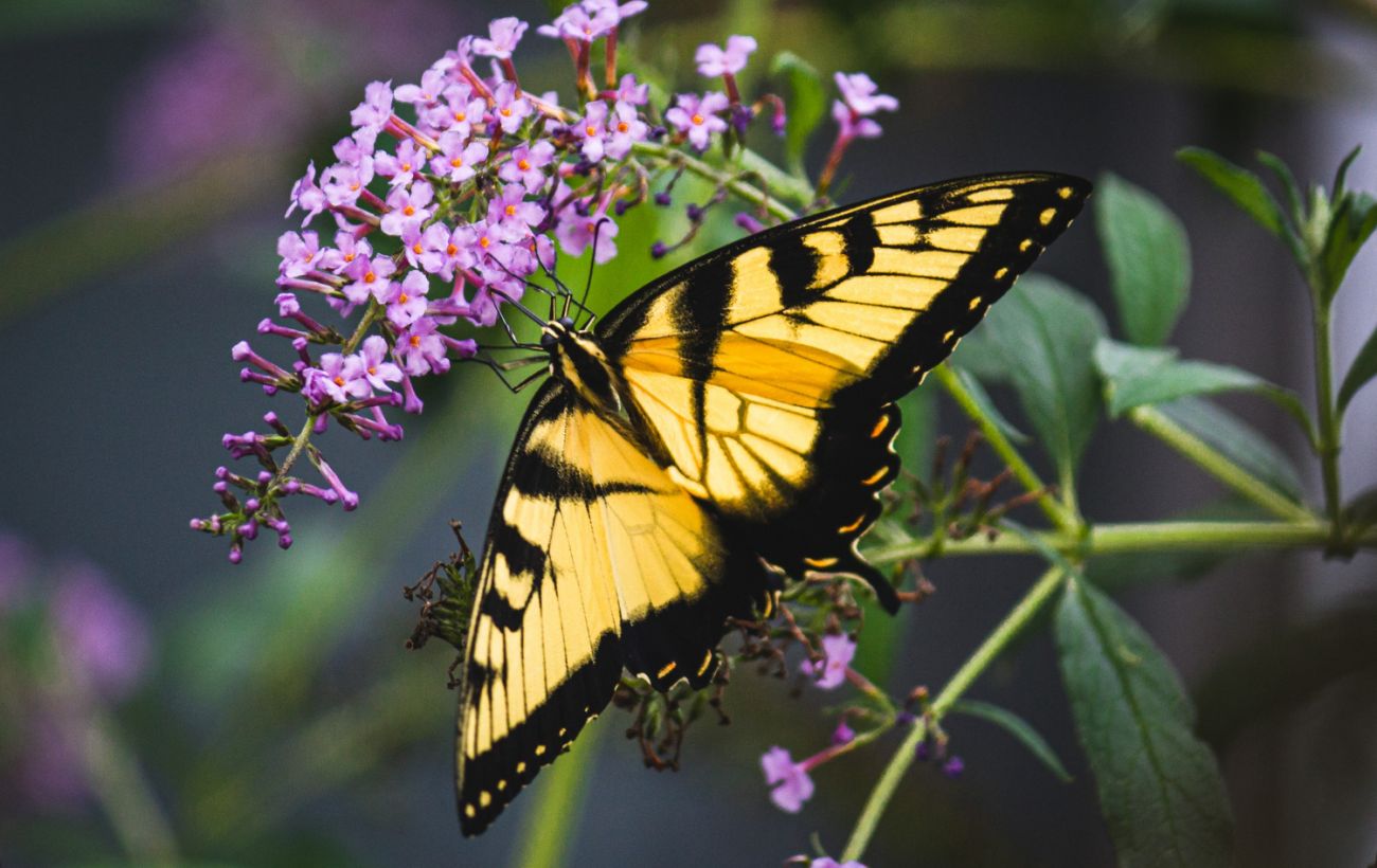 Фото новини