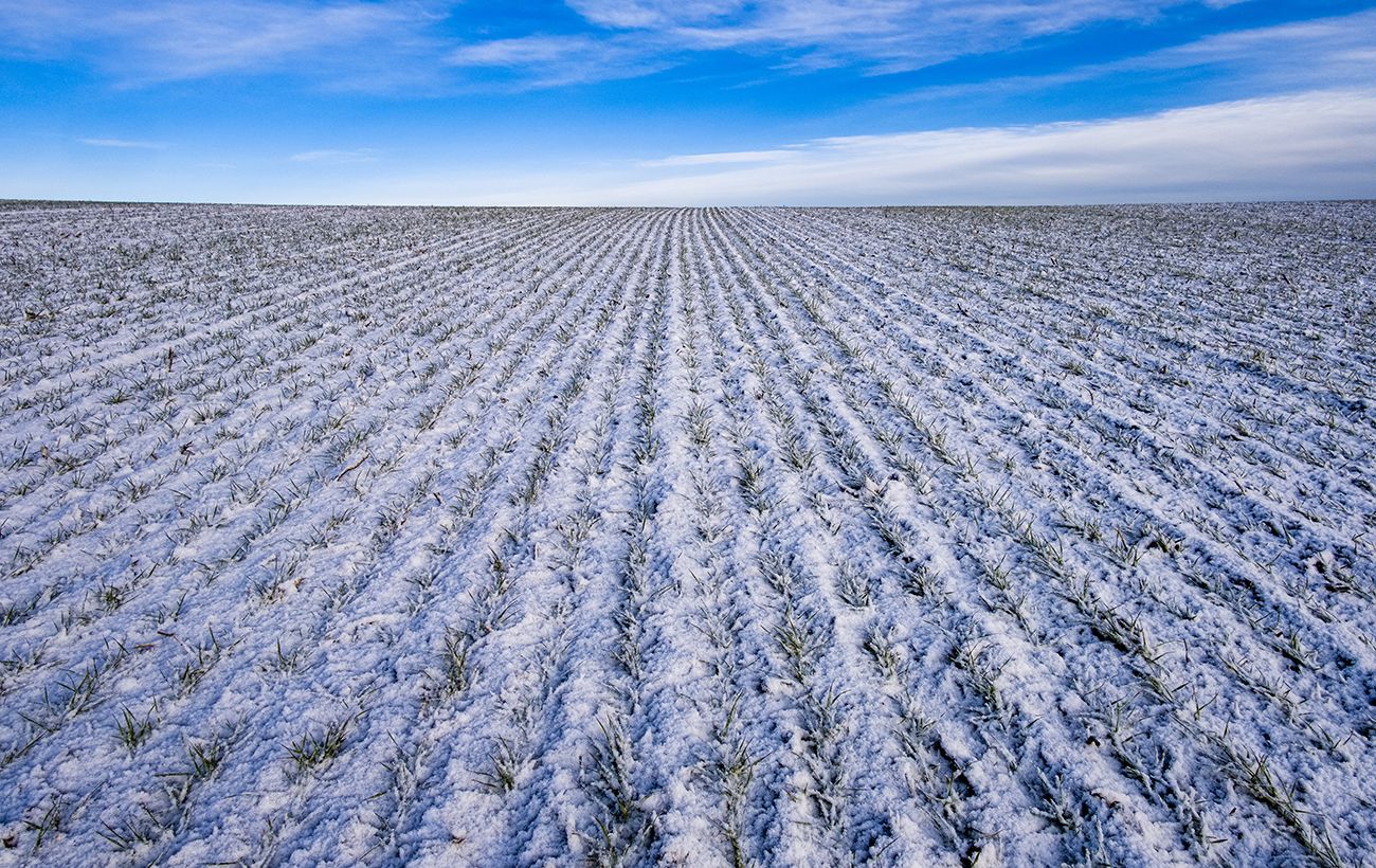 Фото новини