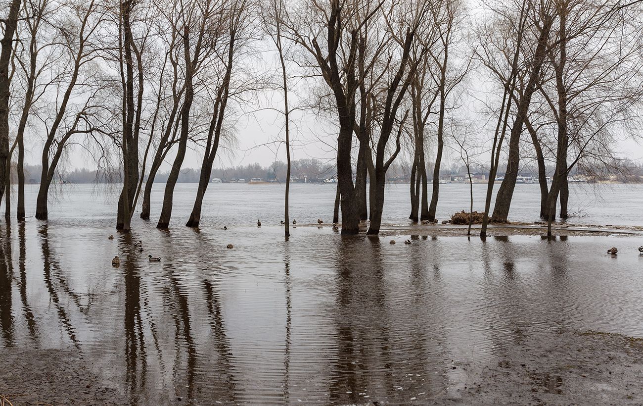 Фото новини