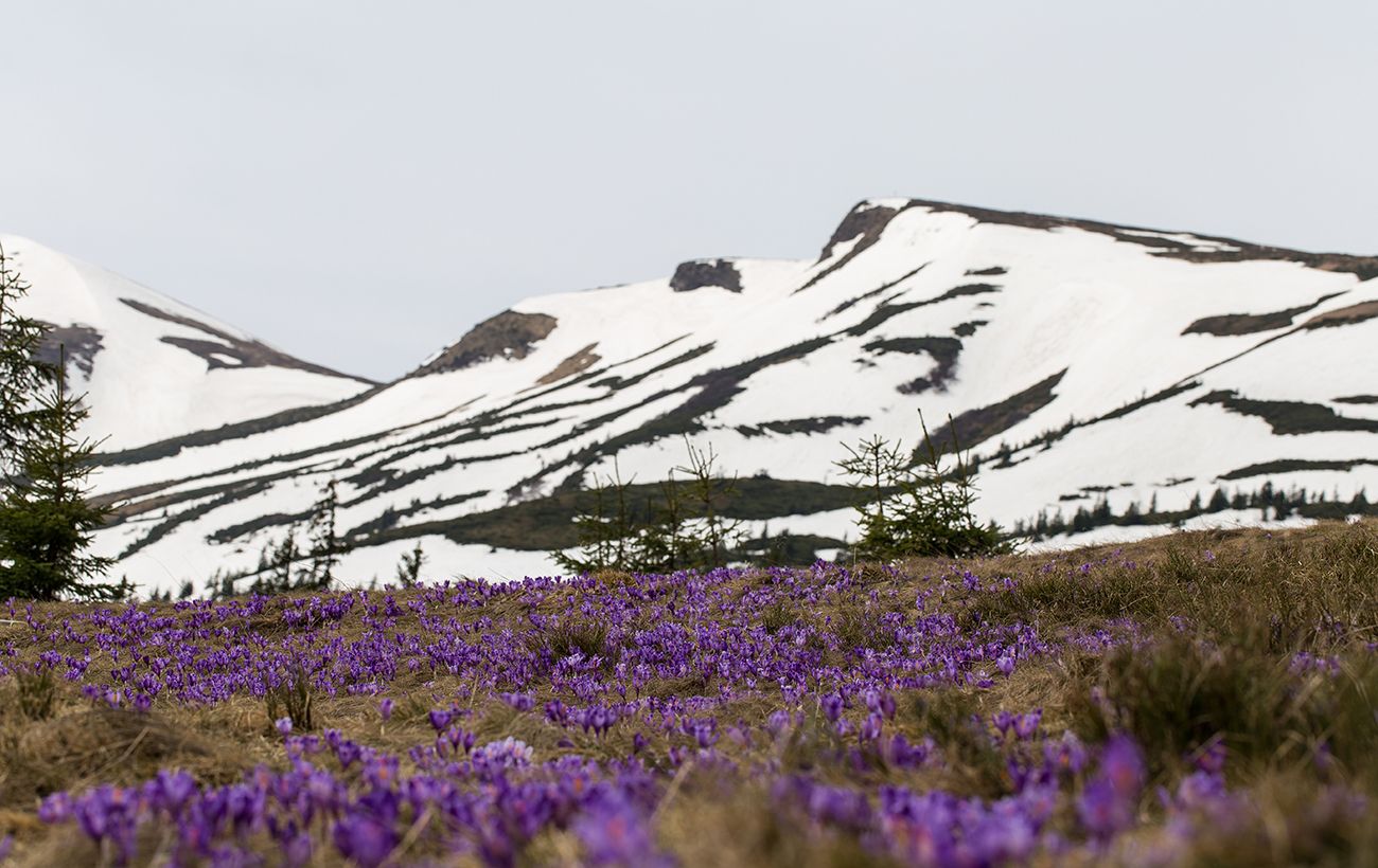 Фото новини