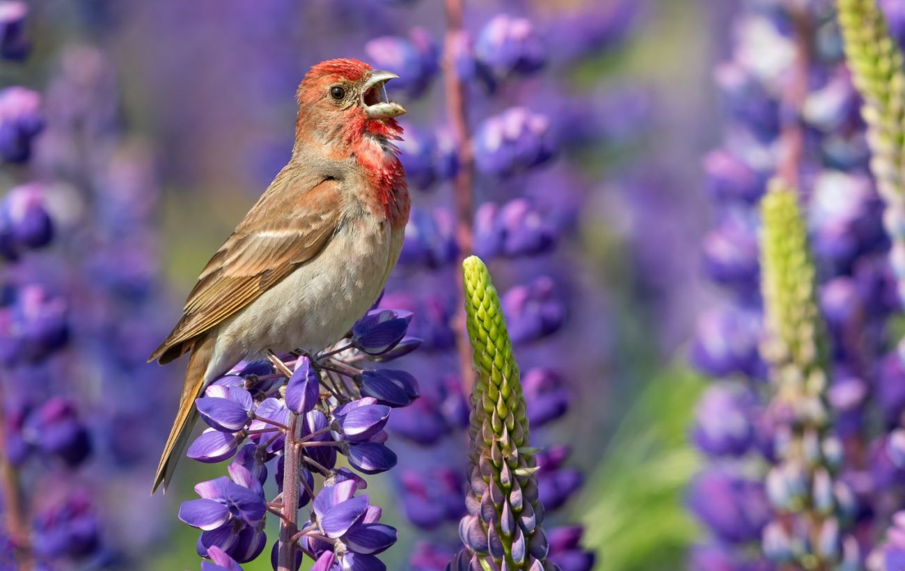 Фото новини