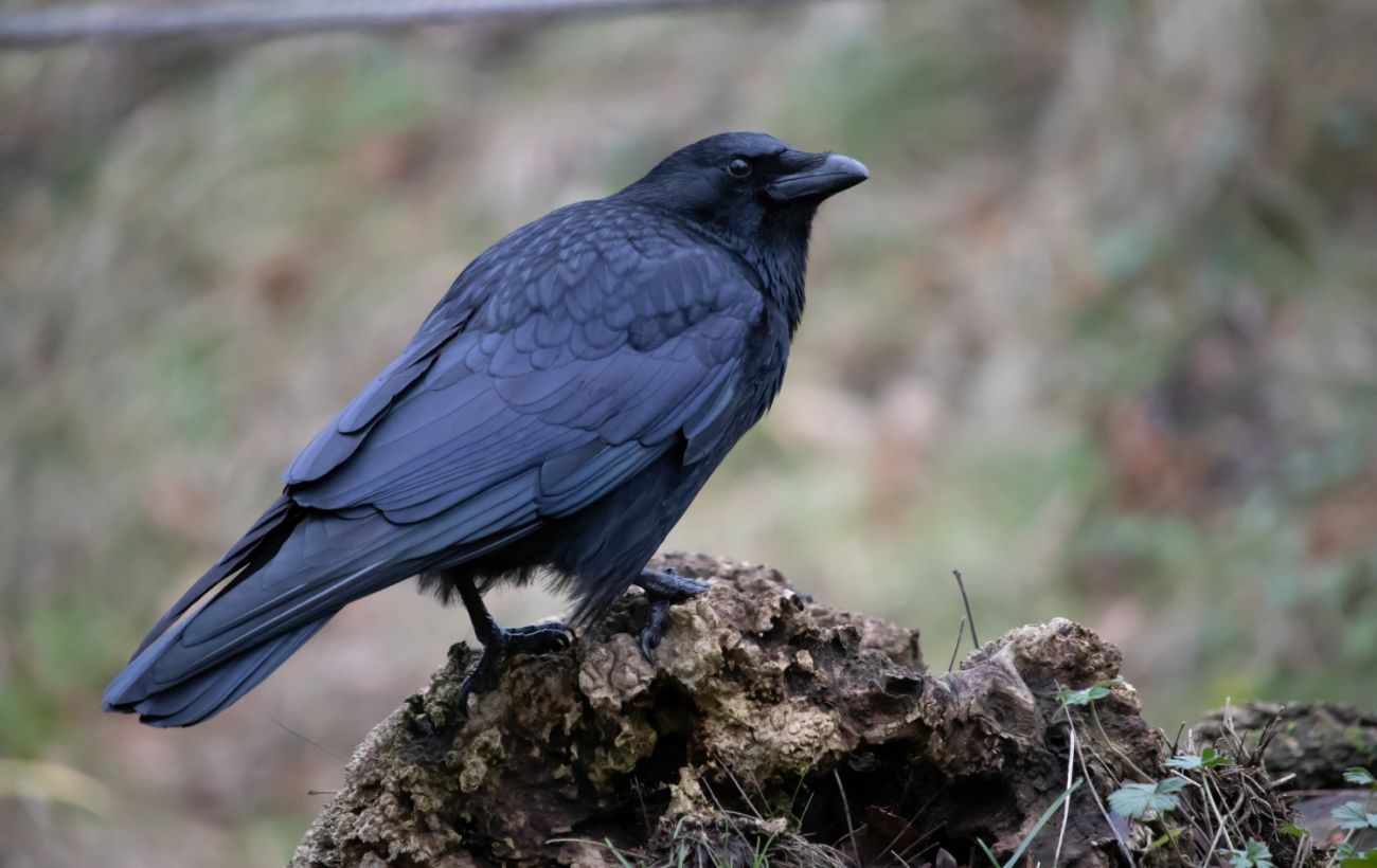 Фото новини