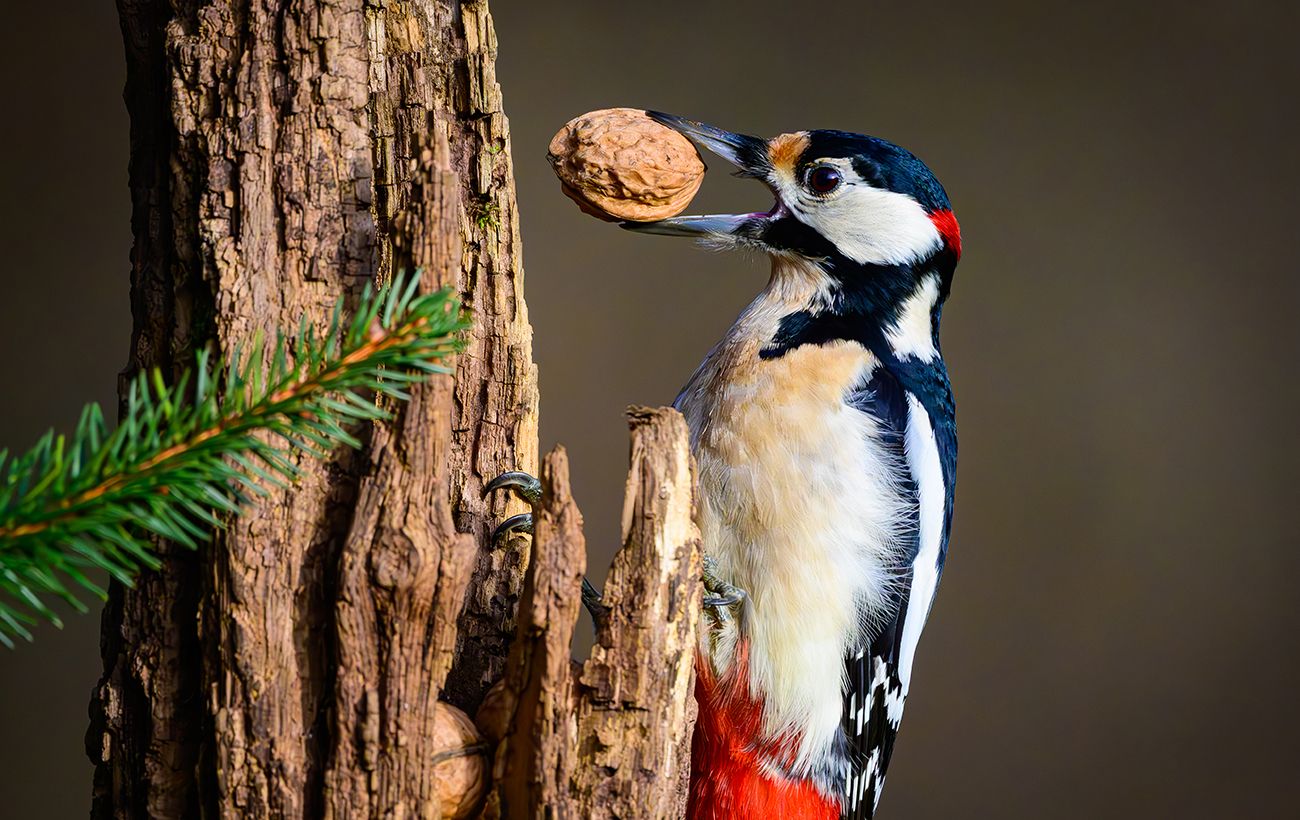 Фото новини