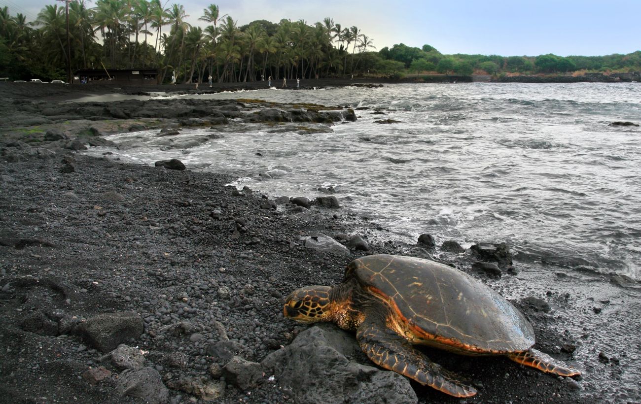 Фото новини