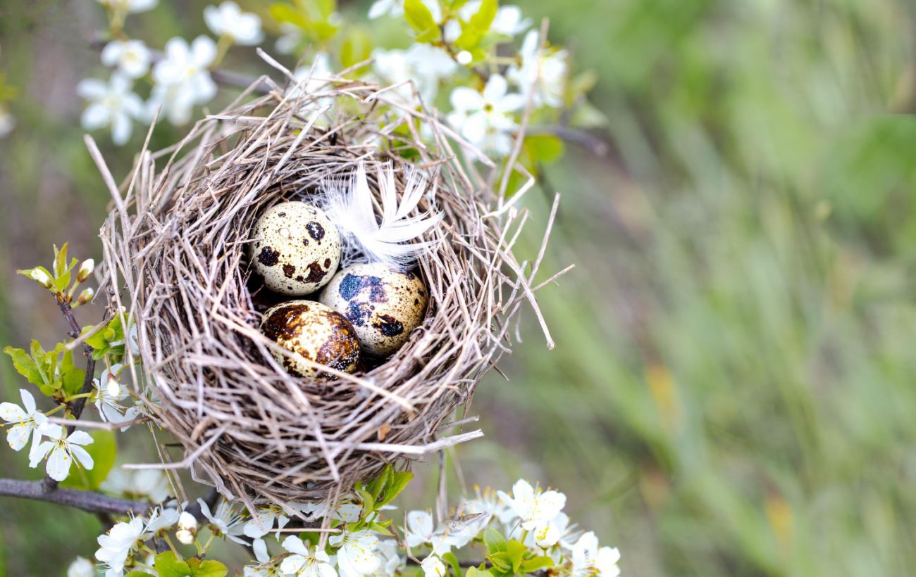 Фото новини