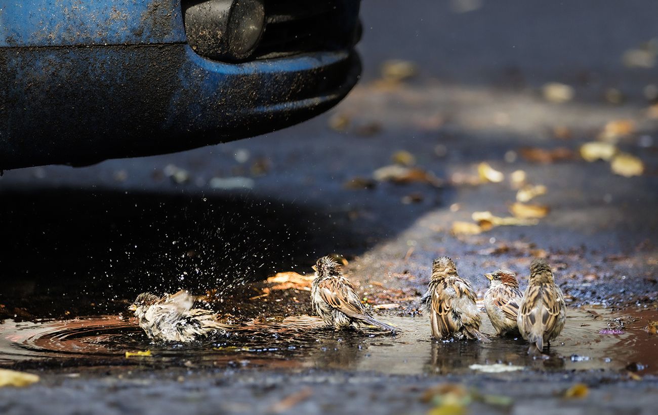 Фото новини