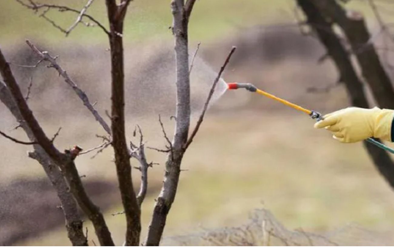 Фото новини