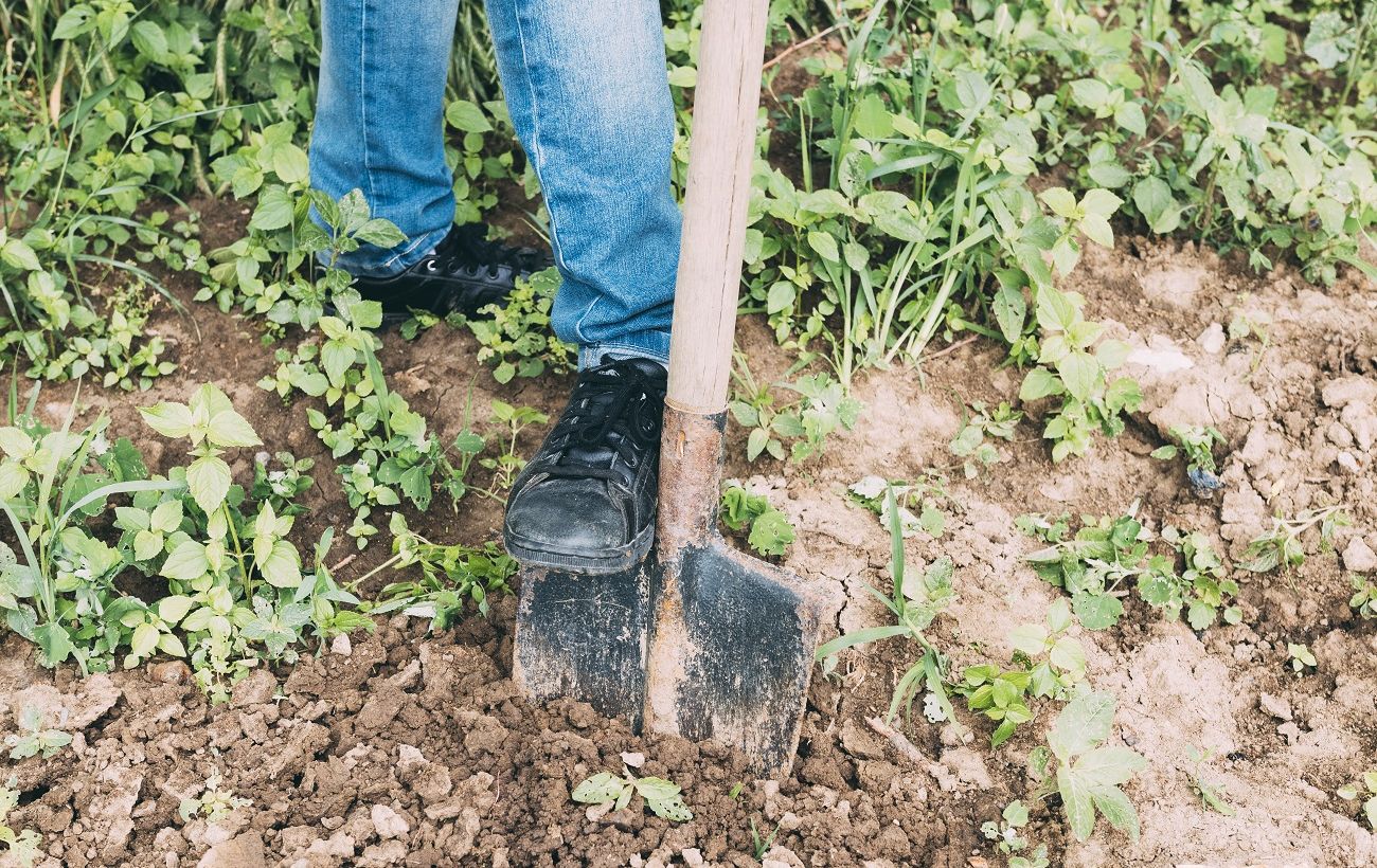 Фото новини