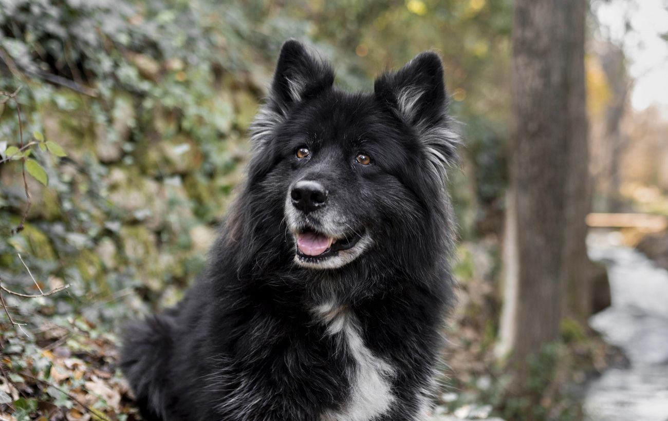 Фото новини