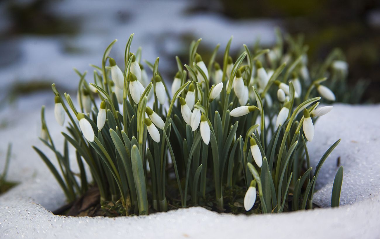 Фото новини