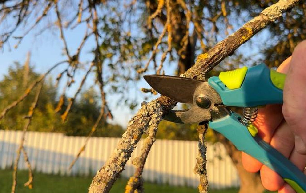 Фото новини