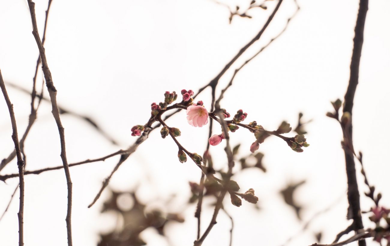 Фото новини