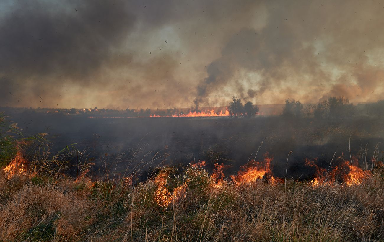 Фото новини