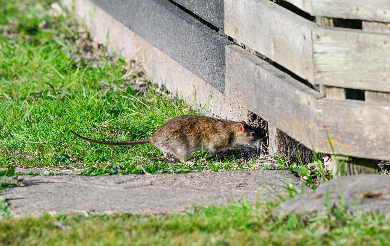 Фото новини