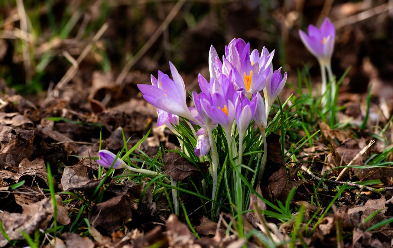 Фото новини