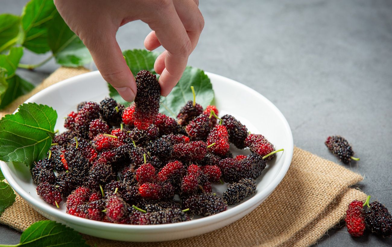 Фото новини