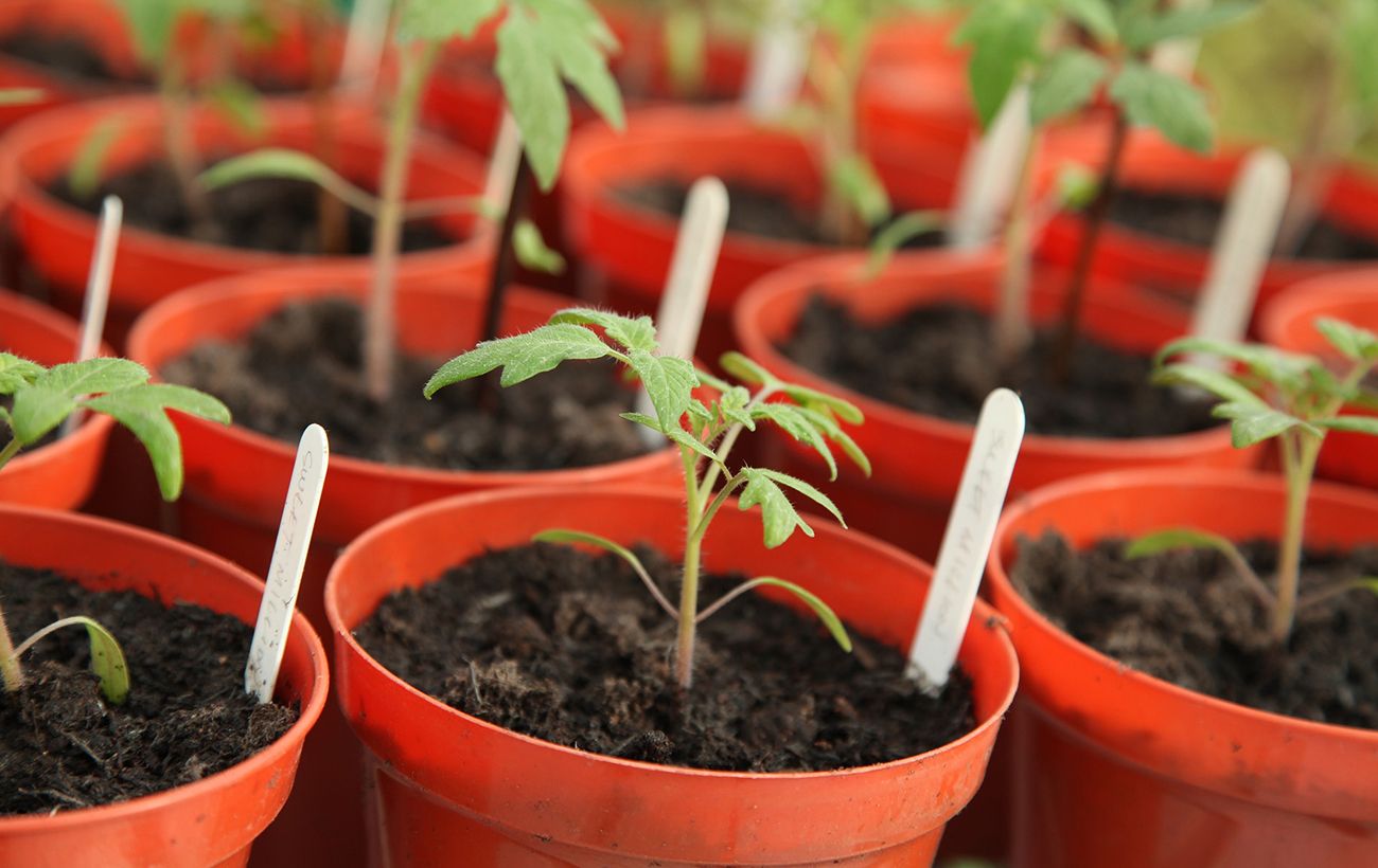 Фото новини