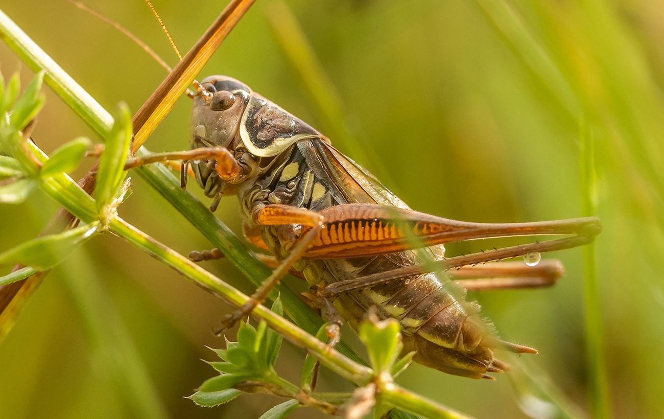 Фото новини