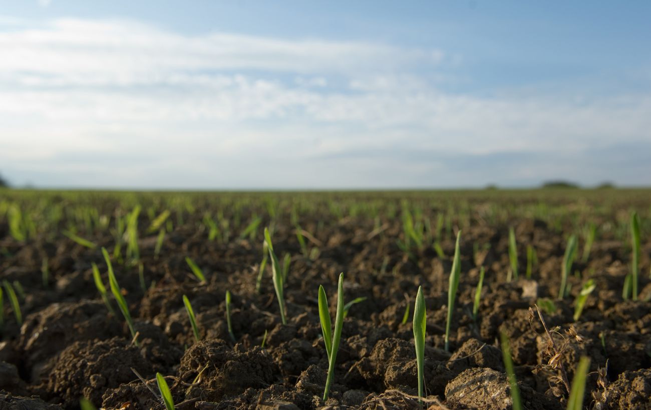 Фото новини