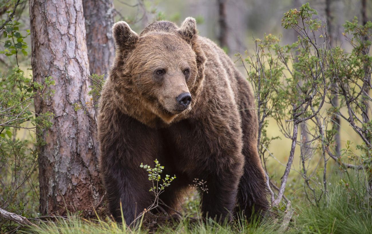 Фото новини