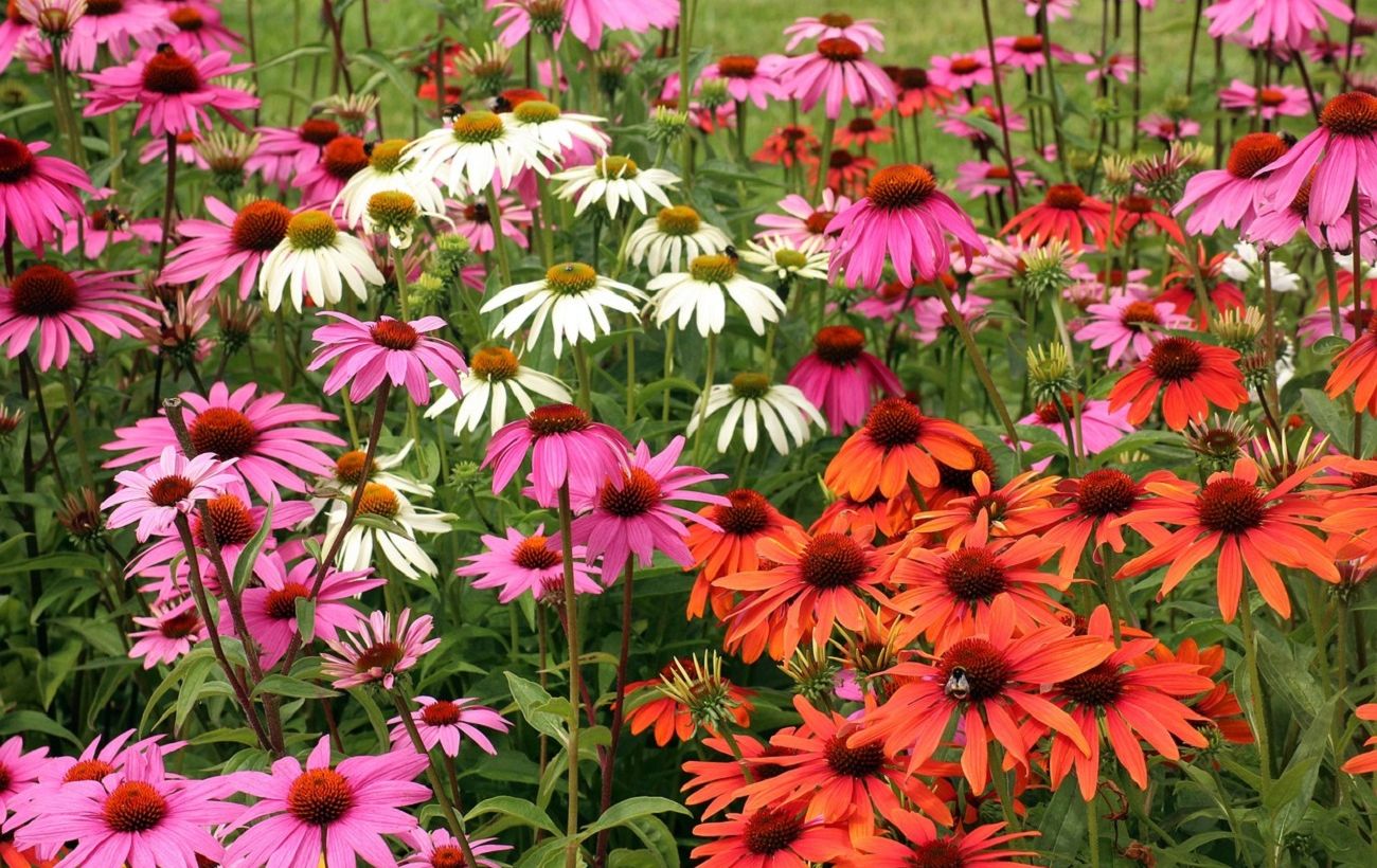 Фото новини