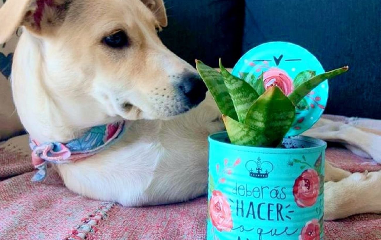 Фото новини